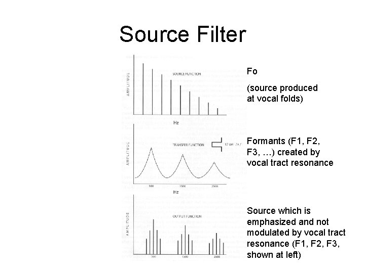 Source Filter Fo (source produced at vocal folds) Formants (F 1, F 2, F