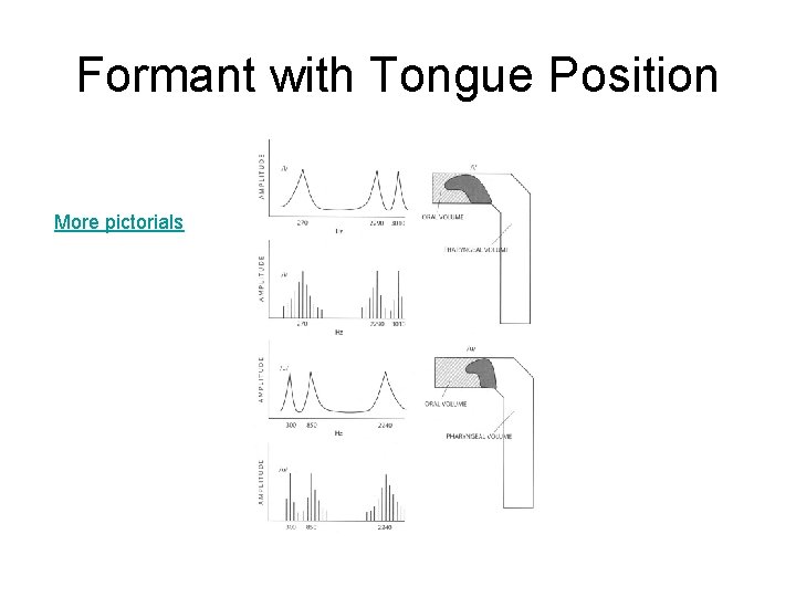 Formant with Tongue Position More pictorials 