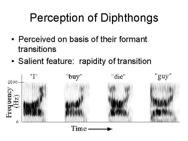 Perception of Diphthongs • Perceived on basis of their formant transitions • Salient feature: