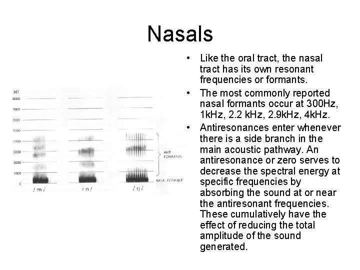 Nasals • Like the oral tract, the nasal tract has its own resonant frequencies