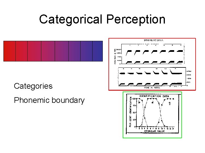 Categorical Perception Categories Phonemic boundary 