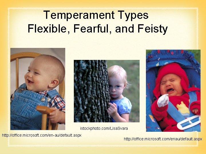 Temperament Types Flexible, Fearful, and Feisty istockphoto. com/Lisa. Svara http: //office. microsoft. com/en-au/default. aspx