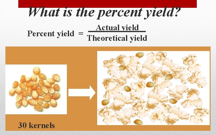 What is the percent yield? Actual yield Percent yield = Theoretical yield 30 kernels What is the percent yield? Actual yield Percent yield = Theoretical yield 30 kernels