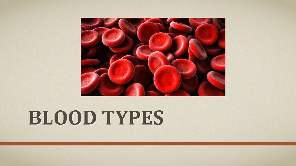 BLOOD TYPES 