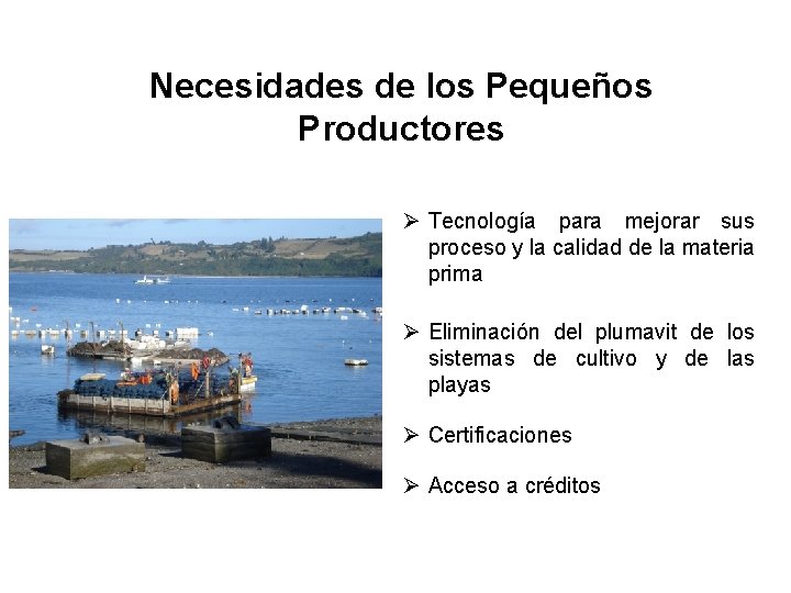 Necesidades de los Pequeños Productores Ø Tecnología para mejorar sus proceso y la calidad