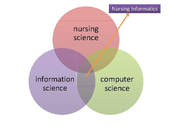 Nursing Informatics nursing science information science computer science 