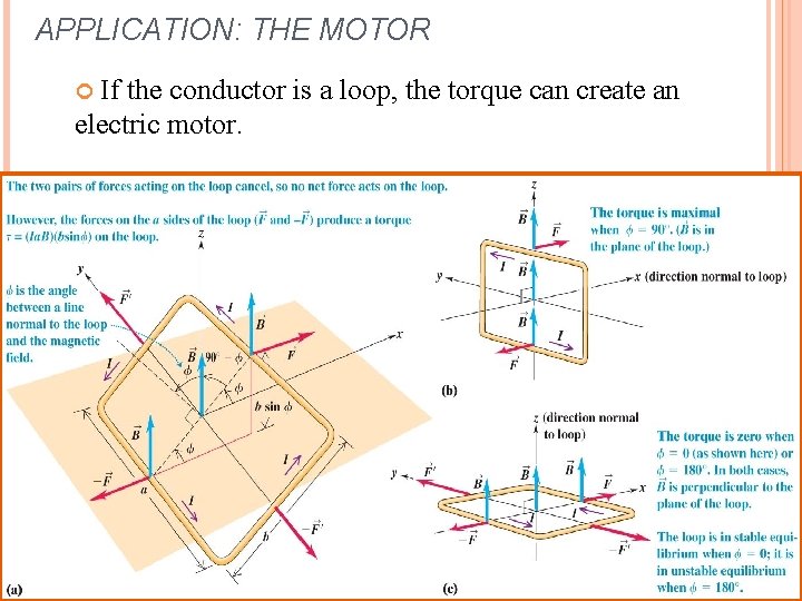 APPLICATION: THE MOTOR If the conductor is a loop, the torque can create an