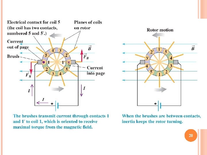 Magnetism 20 