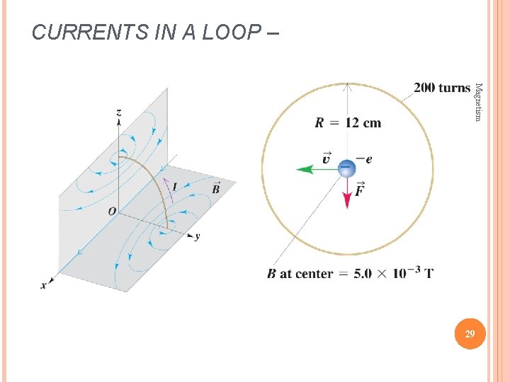 CURRENTS IN A LOOP – Magnetism 29 