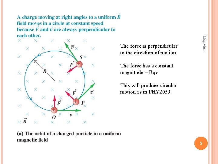 Magnetism The force is perpendicular to the direction of motion. The force has a