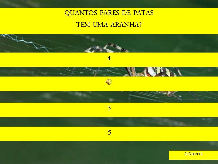 QUANTOS PARES DE PATAS TEM UMA ARANHA? 4 2 3 5 SEGUINTE 