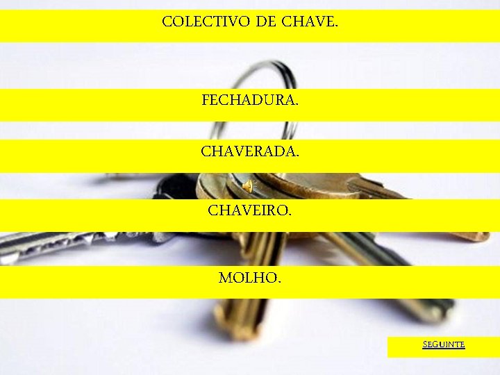 COLECTIVO DE CHAVE. FECHADURA. CHAVERADA. CHAVEIRO. MOLHO. SEGUINTE 