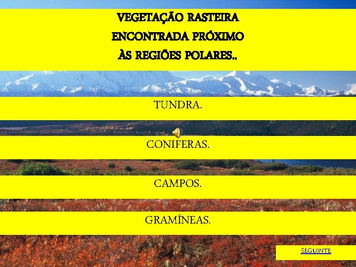 VEGETAÇÃO RASTEIRA ENCONTRADA PRÓXIMO ÀS REGIÕES POLARES. . TUNDRA. CONIFERAS. CAMPOS. GRAMÍNEAS. SEGUINTE 