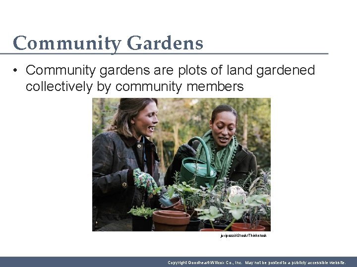 Community Gardens • Community gardens are plots of land gardened collectively by community members
