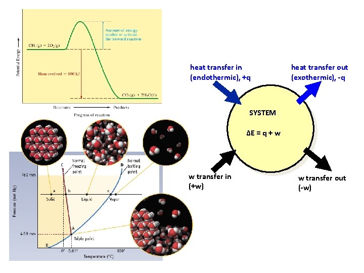 heat transfer in (endothermic), +q heat transfer out (exothermic), -q SYSTEM ∆E = q