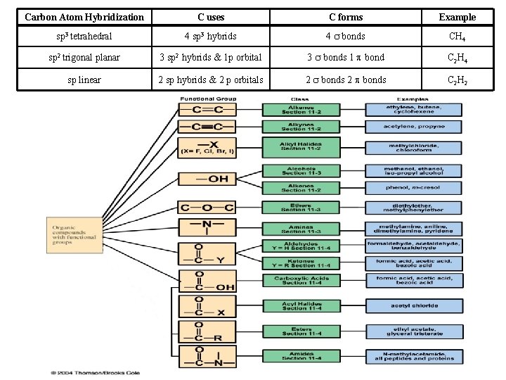 Carbon Atom Hybridization C uses C forms Example sp 3 tetrahedral 4 sp 3