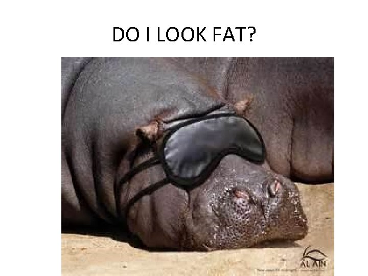 DO I LOOK FAT? 