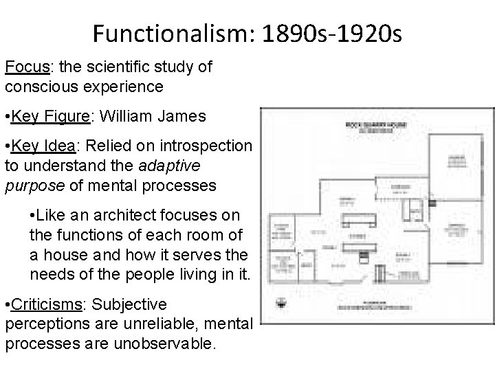 Functionalism: 1890 s-1920 s Focus: the scientific study of conscious experience • Key Figure: