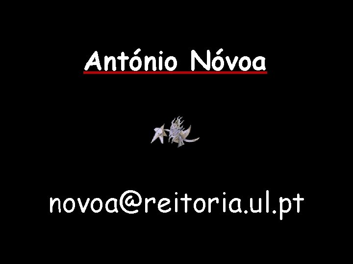 António Nóvoa novoa@reitoria. ul. pt 