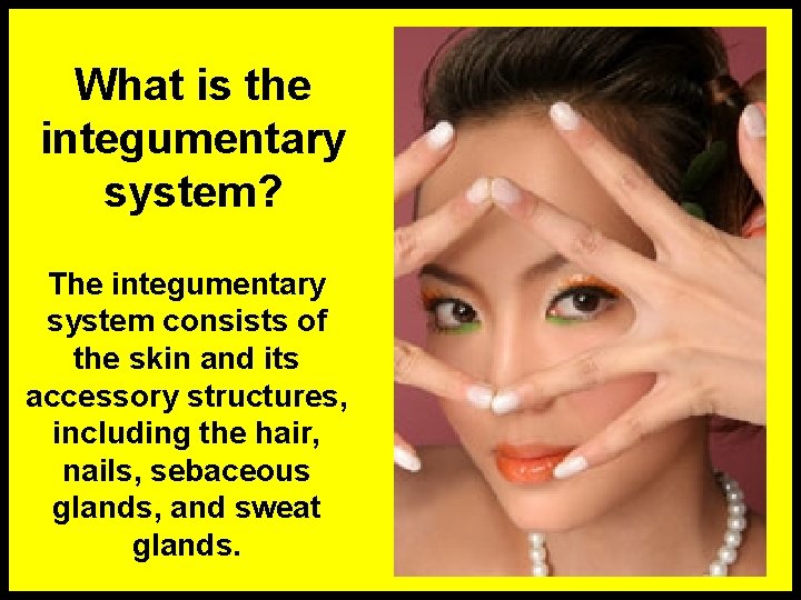 What is the integumentary system? The integumentary system consists of the skin and its