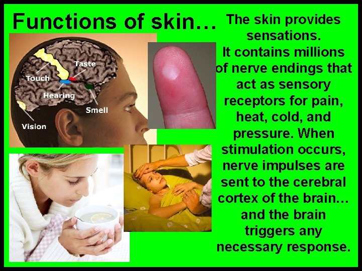 Functions of skin… The skin provides sensations. It contains millions of nerve endings that