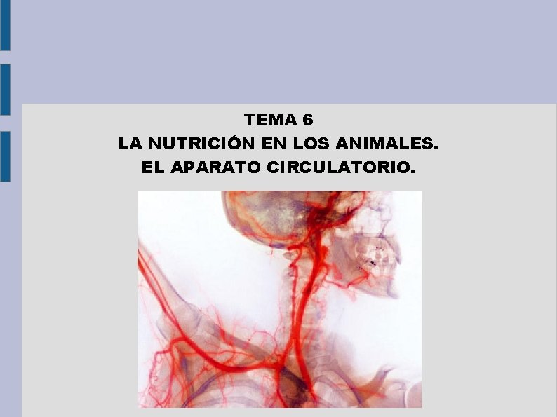 TEMA 6 LA NUTRICIÓN EN LOS ANIMALES. EL APARATO CIRCULATORIO. 