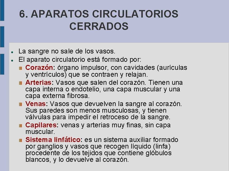 6. APARATOS CIRCULATORIOS CERRADOS La sangre no sale de los vasos. El aparato circulatorio