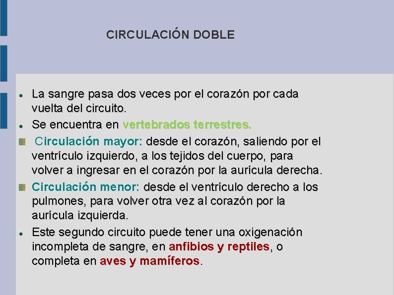 CIRCULACIÓN DOBLE La sangre pasa dos veces por el corazón por cada vuelta del