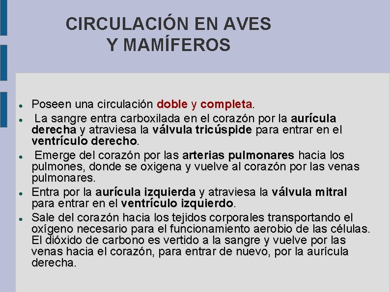 CIRCULACIÓN EN AVES Y MAMÍFEROS Poseen una circulación doble y completa. La sangre entra