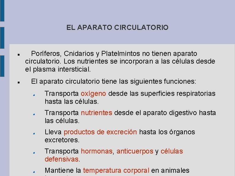 EL APARATO CIRCULATORIO Poríferos, Cnidarios y Platelmintos no tienen aparato circulatorio. Los nutrientes se