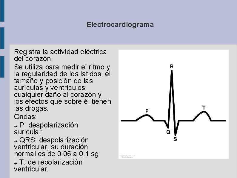 Electrocardiograma Registra la actividad eléctrica del corazón. Se utiliza para medir el ritmo y