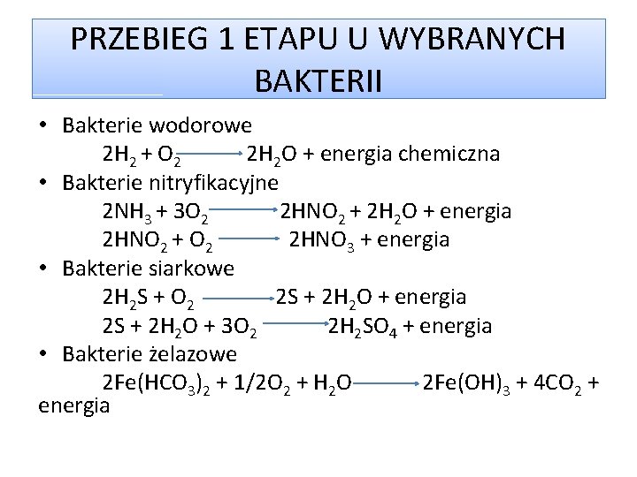 PRZEBIEG 1 ETAPU U WYBRANYCH BAKTERII • Bakterie wodorowe 2 H 2 + O