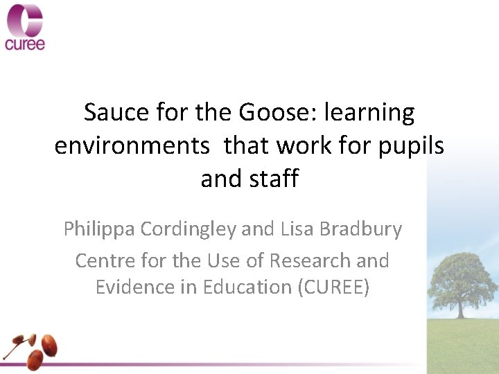 Sauce for the Goose: learning environments that work for pupils and staff Philippa Cordingley