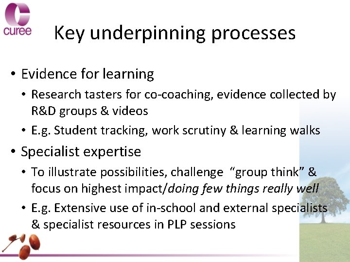 Key underpinning processes • Evidence for learning • Research tasters for co-coaching, evidence collected