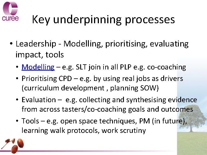 Key underpinning processes • Leadership - Modelling, prioritising, evaluating impact, tools • Modelling –