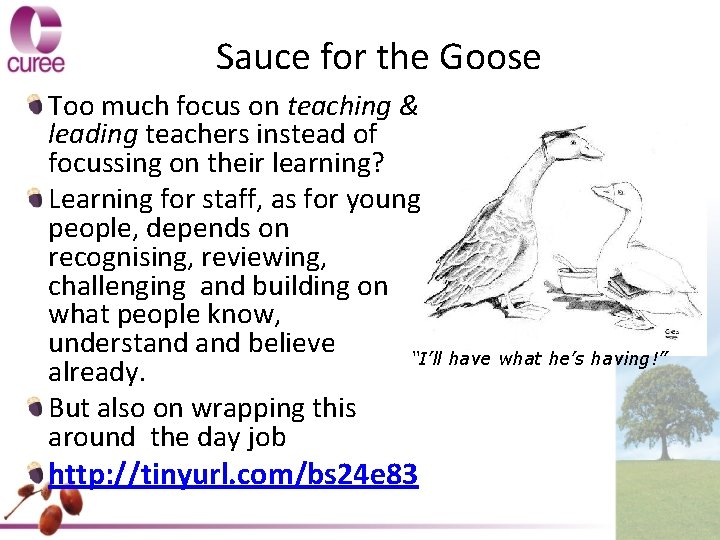 Sauce for the Goose Too much focus on teaching & leading teachers instead of