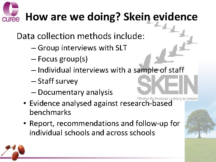 How are we doing? Skein evidence Data collection methods include: – Group interviews with