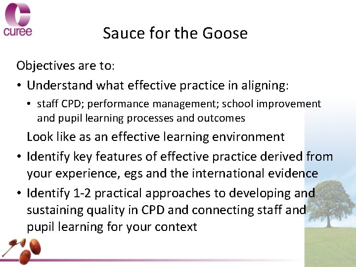 Sauce for the Goose Objectives are to: • Understand what effective practice in aligning: