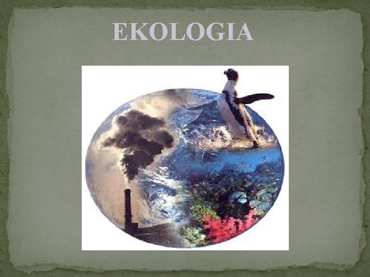 EKOLOGIA 