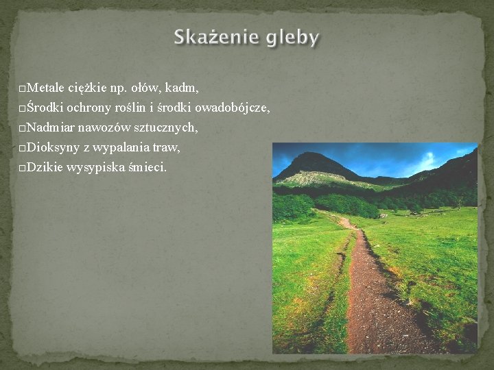  Metale ciężkie np. ołów, kadm, Środki ochrony roślin i środki owadobójcze, Nadmiar nawozów