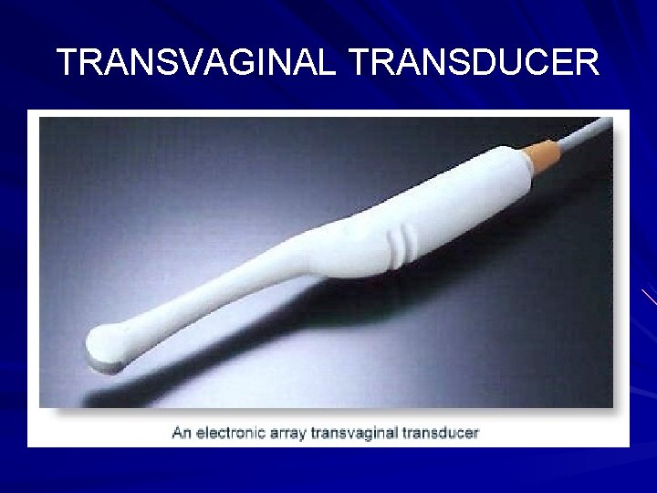 TRANSVAGINAL TRANSDUCER 