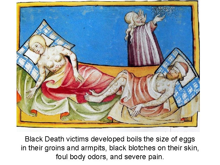 Black Death victims developed boils the size of eggs in their groins and armpits,