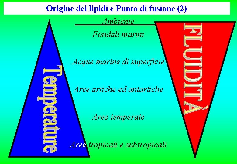 Origine dei lipidi e Punto di fusione (2) Ambiente Fondali marini Acque marine di