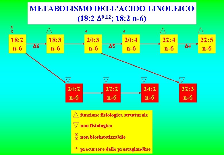 METABOLISMO DELL’ACIDO LINOLEICO (18: 2 9, 12; 18: 2 n-6) x x 18: 2