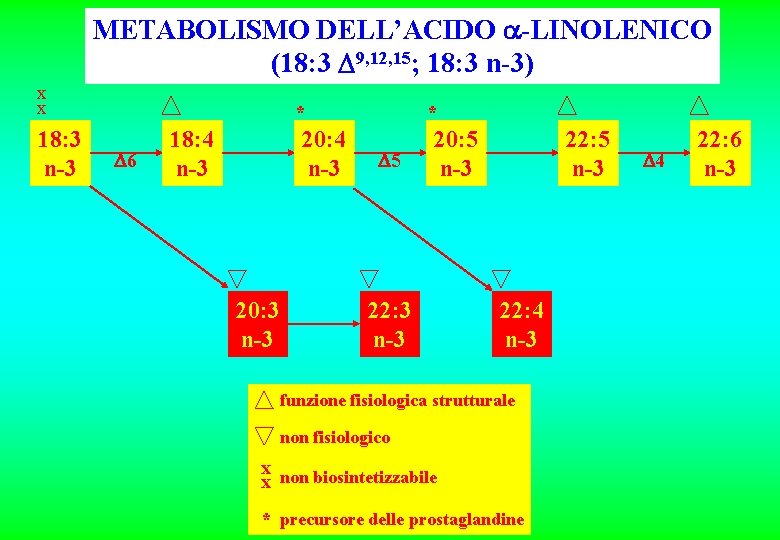 METABOLISMO DELL’ACIDO -LINOLENICO (18: 3 9, 12, 15; 18: 3 n-3) x x 18: