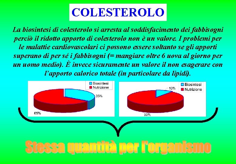 COLESTEROLO La biosintesi di colesterolo si arresta al soddisfacimento dei fabbisogni perciò il ridotto