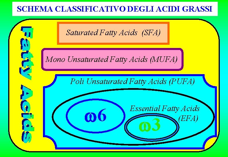 SCHEMA CLASSIFICATIVO DEGLI ACIDI GRASSI Saturated Fatty Acids (SFA) Mono Unsaturated Fatty Acids (MUFA)