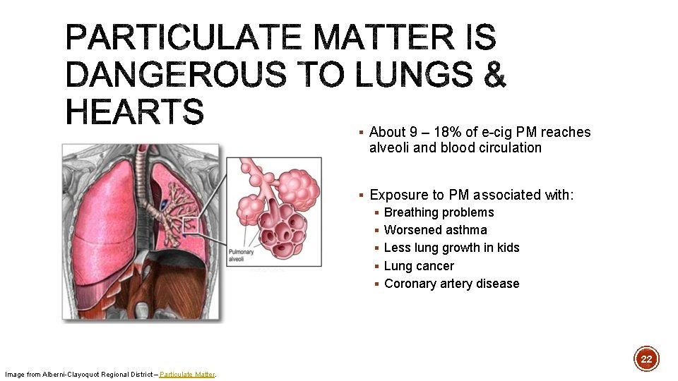 § About 9 – 18% of e-cig PM reaches alveoli and blood circulation §