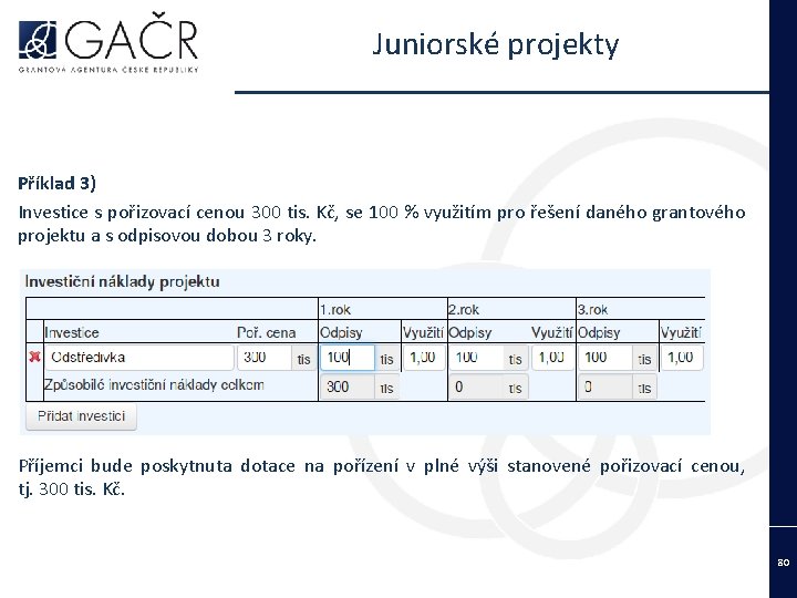 Juniorské projekty Příklad 3) Investice s pořizovací cenou 300 tis. Kč, se 100 %