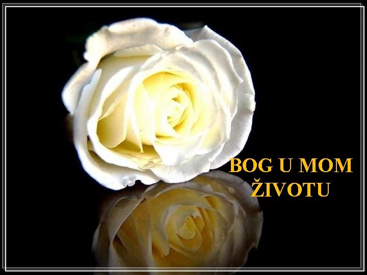 BOG U MOM ŽIVOTU 